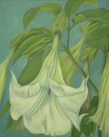 Datura
